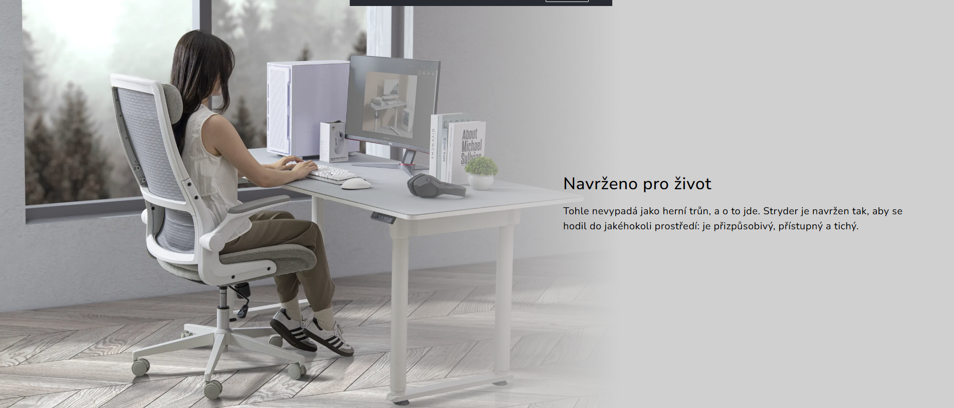 Snímek obrazovky 2026-03-12 123518